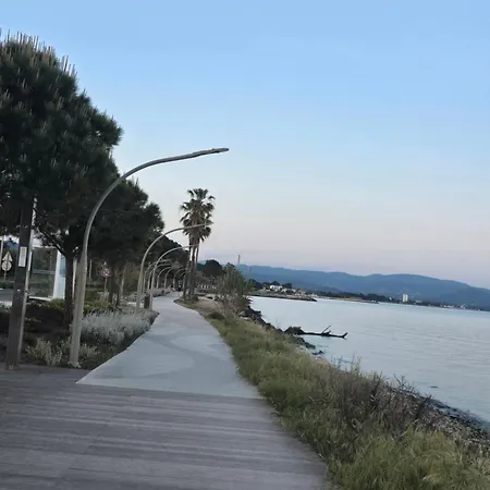 Oasis Louisitanienne