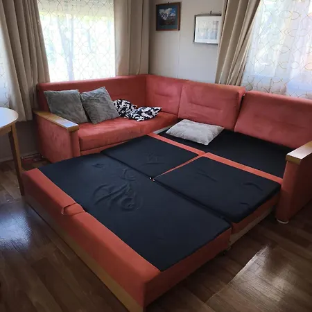 Oasis Louisitanienne Hyères