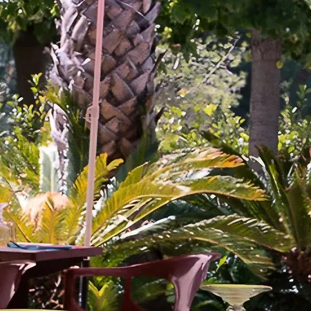 Oasis Louisitanienne Appartement Hyères